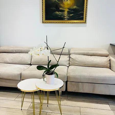 Palladium Palais Des Festivals Appartement *