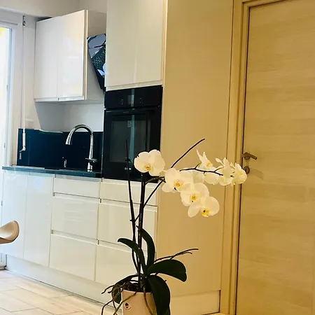 Appartement Palladium Palais Des Festivals