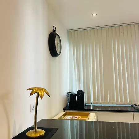 Palladium Palais Des Festivals شقة كان